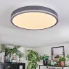 Salmi Lampa sufitowa, Panel LED Szary, Srebrny, 1-punktowy