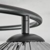 Ripoll Lampa sufitowa, Kula świetlna Przezroczysty, Przydymiony, 3-punktowe
