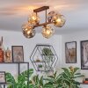 Ripoll Lampa sufitowa, Kula świetlna W kolorze bursztynu, Przydymiony, 6-punktowe