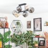 Ripoll Lampa sufitowa, Kula świetlna W kolorze bursztynu, Przydymiony, 6-punktowe