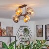 Ripoll lampa sufitowa, kula świetlna bursztynowy, przezroczysty, przydymiony, 6-punktowe