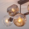 Ripoll lampa sufitowa, kula świetlna bursztynowy, przezroczysty, przydymiony, 6-punktowe