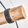 Ripoll lampa wisząca, kula świetlna, lampa wisząca kolory naturalne, czarny, 4-punktowe