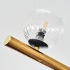 Chehalis Lampa sufitowa, Kula świetlna Złoty, Czarny, 10-punktowe