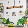 Ripoll lampa wisząca, kula świetlna, lampa wisząca kolory naturalne, czarny, 3-punktowe