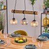 Ripoll lampa wisząca, kula świetlna, lampa wisząca kolory naturalne, czarny, 3-punktowe