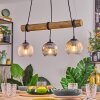 Ripoll lampa wisząca, kula świetlna, lampa wisząca kolory naturalne, czarny, 3-punktowe