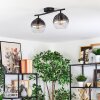 Koyoto Lampa sufitowa, Kula świetlna Przezroczysty, Przydymiony, 2-punktowe