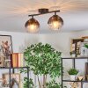 Koyoto Lampa sufitowa, Kula świetlna Przezroczysty, Przydymiony, 2-punktowe