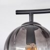 Koyoto Lampa sufitowa, Kula świetlna Przezroczysty, Przydymiony, 2-punktowe