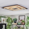Lidor Lampa sufitowa LED Antracytowy, Szary, Czarny, 1-punktowy