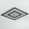 Lidor Lampa sufitowa LED Antracytowy, Szary, Czarny, 1-punktowy