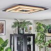 Lidor Lampa sufitowa LED Antracytowy, Szary, Czarny, 1-punktowy
