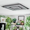 Lidor Lampa sufitowa LED Antracytowy, Szary, Czarny, 1-punktowy