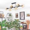 Ripoll Lampa sufitowa, Kula świetlna W kolorze bursztynu, Przezroczysty, 10-punktowe