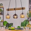 Koyoto lampa wisząca, kula świetlna, lampa wisząca kolory naturalne, czarny, 3-punktowe
