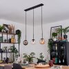 Gastor Lampa wisząca, Kula świetlna, Lampa wisząca W kolorze bursztynu, Przezroczysty, Przydymiony, 3-punktowe
