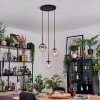 Gastor lampa wisząca, kula świetlna, lampa wisząca bursztynowy, przezroczysty, przydymiony, 3-punktowe