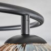 Ripoll lampa sufitowa, kula świetlna bursztynowy, 3-punktowe