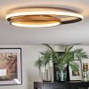 Trapani Lampa sufitowa LED Złoty, Czarny, 1-punktowy, Zdalne sterowanie