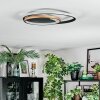 Trapani Lampa sufitowa LED Złoty, Czarny, 1-punktowy, Zdalne sterowanie