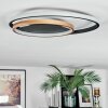 Trapani Lampa sufitowa LED Złoty, Czarny, 1-punktowy, Zdalne sterowanie