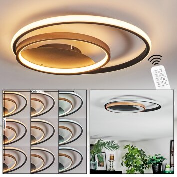 Trapani Lampa sufitowa LED Złoty, Czarny, 1-punktowy, Zdalne sterowanie