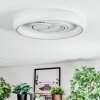 Rarel Lampa sufitowa LED Srebrny, Biały, 1-punktowy