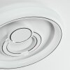 Rarel Lampa sufitowa LED Srebrny, Biały, 1-punktowy