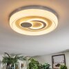 Rarel Lampa sufitowa LED Srebrny, Biały, 1-punktowy