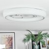 Rarel Lampa sufitowa LED Srebrny, Biały, 1-punktowy