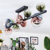 Chehalis lampa sufitowa, kula świetlna niebeieski, zielony, przezroczysty, miedziany, 10-punktowe