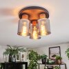 Mador Lampa sufitowa Ecru, Czarny, 3-punktowe