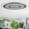 Lidor Lampa sufitowa LED Czarny, 1-punktowy