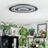 Lidor Lampa sufitowa LED Czarny, 1-punktowy