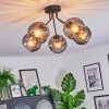 Koyoto lampa sufitowa, kula świetlna 52 cm przydymiony, 5-punktowe