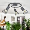 Baripada Lampa Sufitowa Antracytowy, Chrom, 3-punktowe