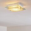 Rusty lampa sufitowa Szary, Przezroczysty, 2-punktowe