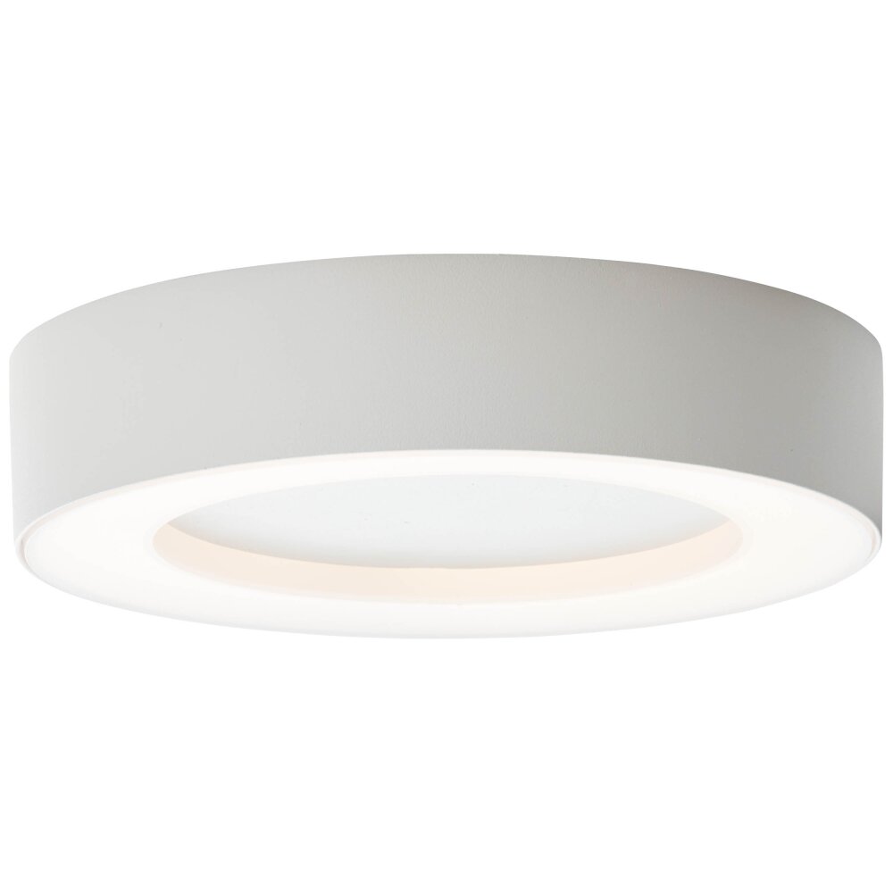 Brillliant Whittaker Lampa Sufitowa zewnętrzna LED Biały, 1-punktowy main product photo