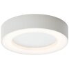 Brillliant Whittaker Lampa Sufitowa zewnętrzna LED Biały, 1-punktowy