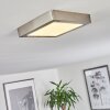 Finsrud Lampa Sufitowa LED Nikiel matowy, 1-punktowy