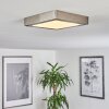 Finsrud Lampa Sufitowa LED Nikiel matowy, 1-punktowy