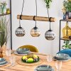 Ripoll lampa wisząca, kula świetlna, lampa wisząca kolory naturalne, czarny, 3-punktowe