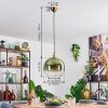Koyoto Lampa wisząca, Kula świetlna, Lampa wisząca Złoty, 1-punktowy
