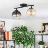 Koyoto lampa sufitowa, kula świetlna bursztynowy, przezroczysty, przydymiony, 2-punktowe