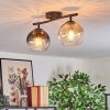 Koyoto lampa sufitowa, kula świetlna bursztynowy, przezroczysty, przydymiony, 2-punktowe