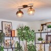 Koyoto lampa sufitowa, kula świetlna bursztynowy, przezroczysty, przydymiony, 2-punktowe