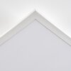 Orain Lampa sufitowa, Panel LED Biały, 1-punktowy, Zmieniacz kolorów