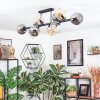 Ripoll lampa sufitowa, kula świetlna bursztynowy, przezroczysty, przydymiony, 10-punktowe