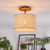 Sabadim Lampa sufitowa Ecru, Czarny, 1-punktowy